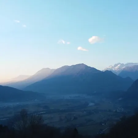 Apartma 2000 טולמין